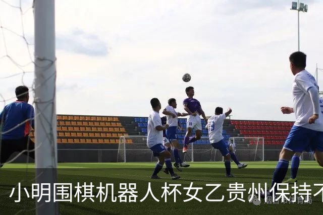 小明围棋机器人杯女乙贵州保持不败 内蒙古领跑丙组
